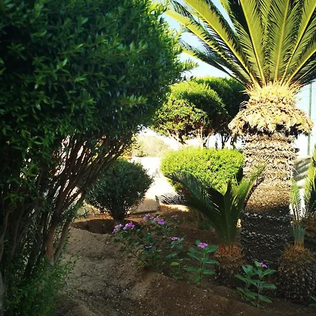 Hébergement de vacances Palorosso House Donnalucata (Sicily)